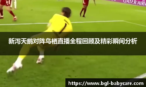 新泻天鹅对阵鸟栖直播全程回顾及精彩瞬间分析